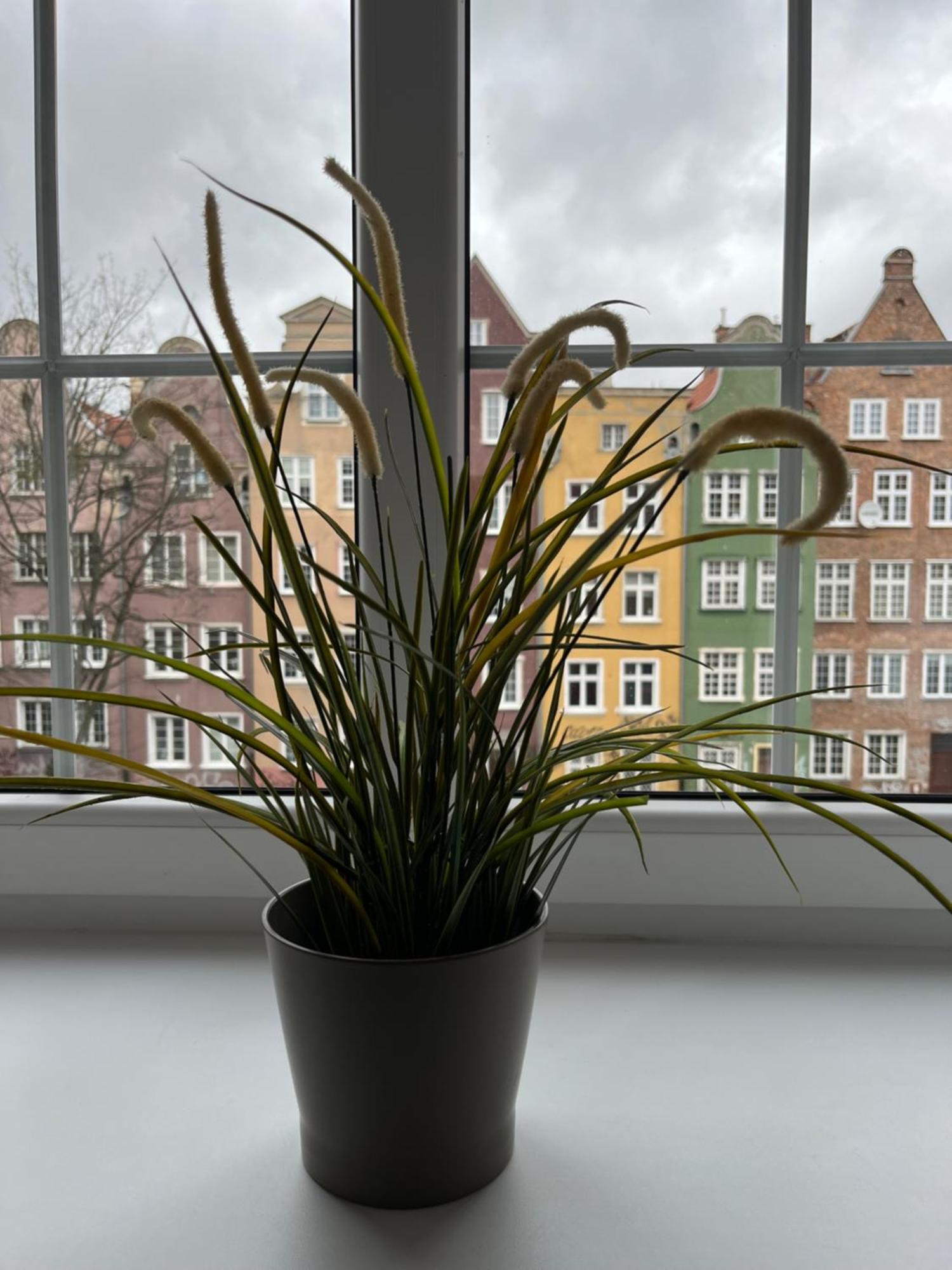 Apartament Piwna52 — Photos 2